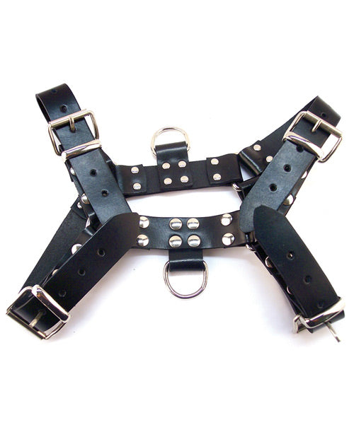 Rouge Over the Head Harness