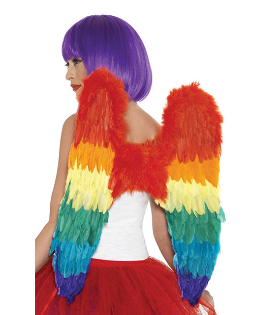 Rainbow Large Feather Wings