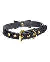 Master Series Golden Kitty Cat Bell Collar - Assorted Colors